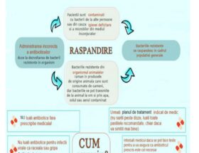 Prevenirea-rezistentei la antibiotice