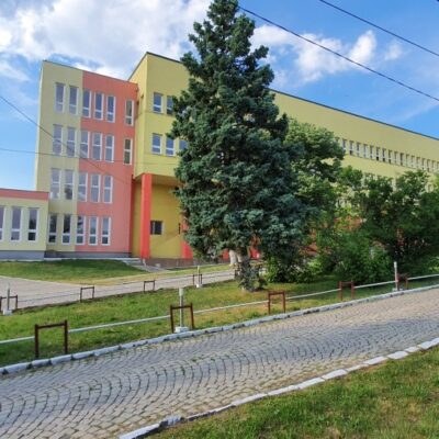 Servicii medicale spitaliceşti